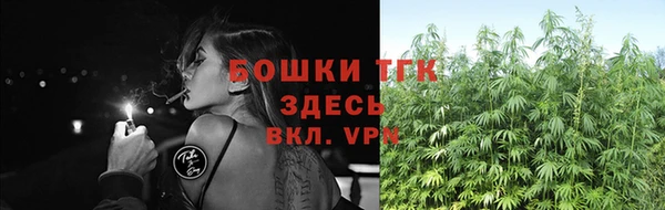 стафф Зеленокумск