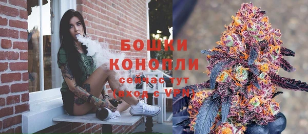стафф Зеленокумск