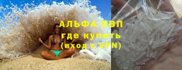 стафф Зеленокумск