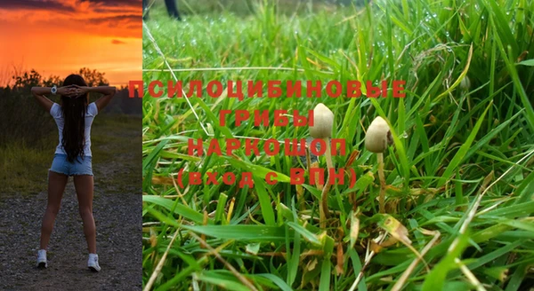 скорость Зерноград