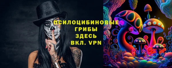 стафф Зеленокумск